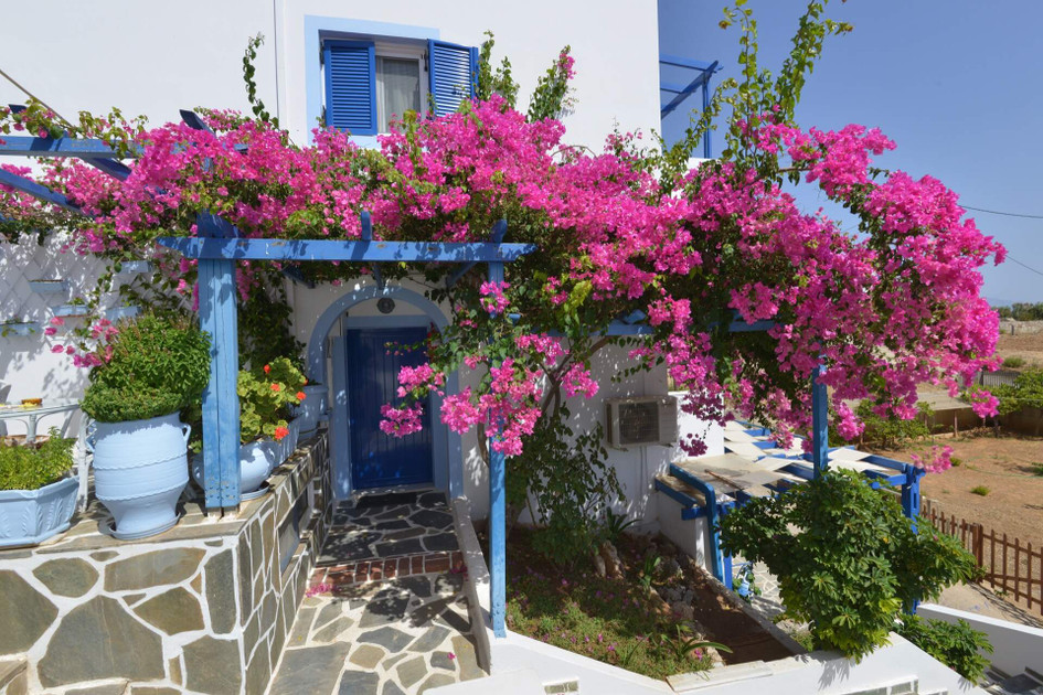 Pelagia Beach studios