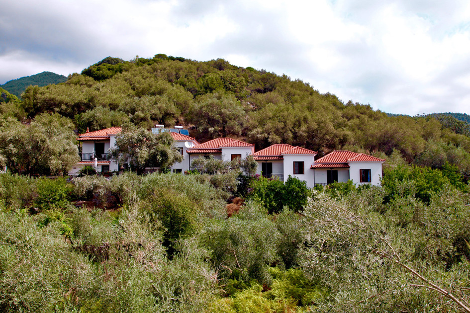 Kastri