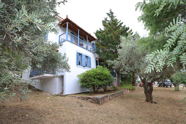 Panos