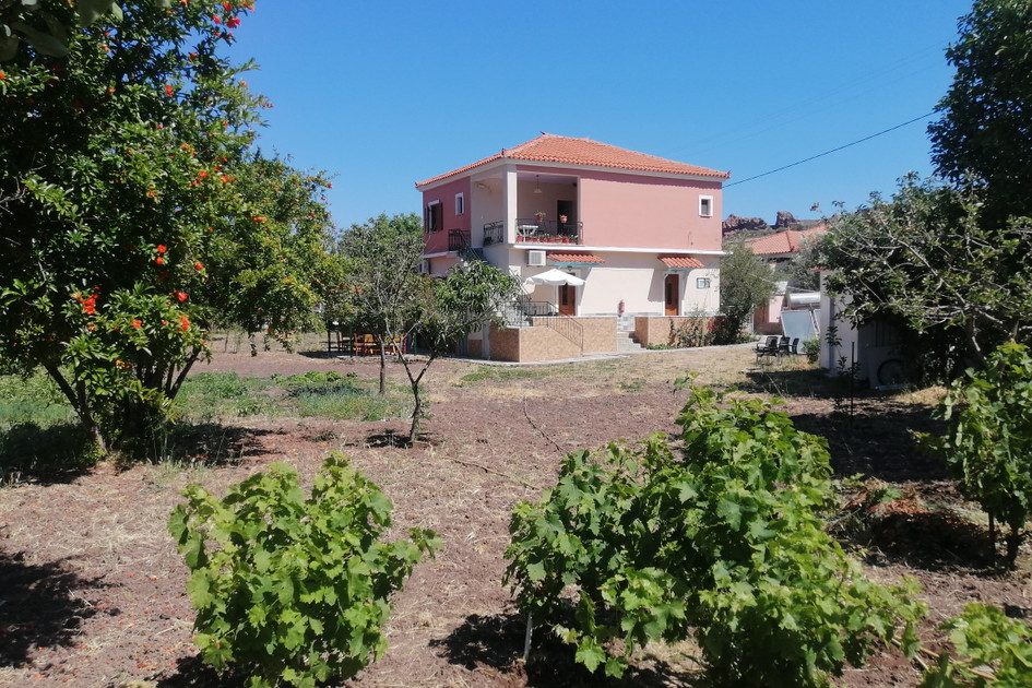 Vassilis Studios