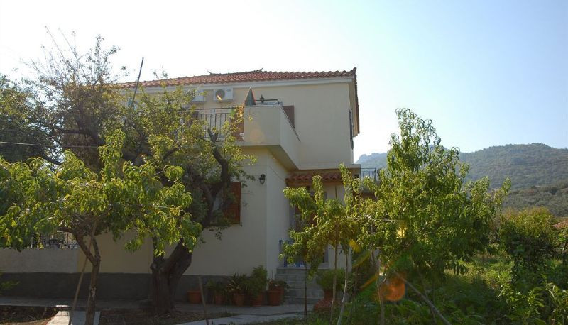 Vassilis Studios
