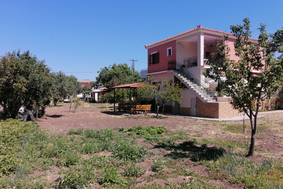 Vassilis Studios