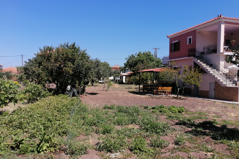 Vassilis Studios