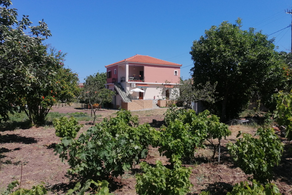 Vassilis Studios