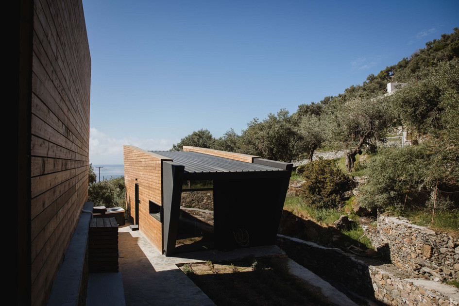 Five Olive Dream Trip
