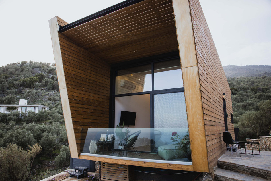 Five Olive Dream Trip