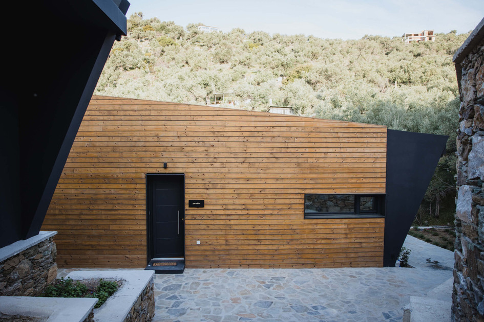 Five Olive Dream Trip