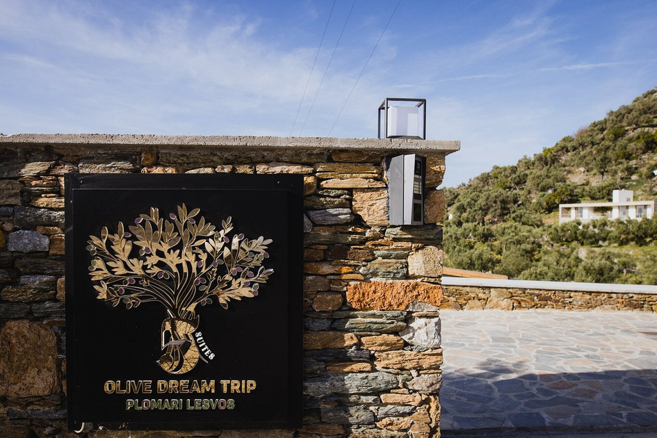 Five Olive Dream Trip