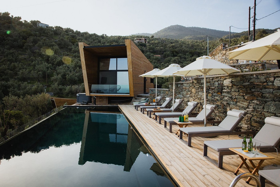 Five Olive Dream Trip