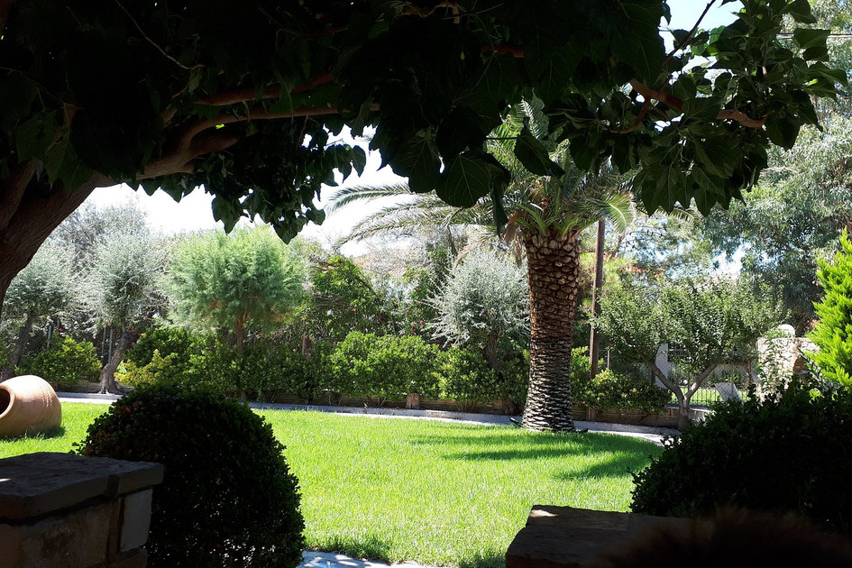 Hotel Platy Beach