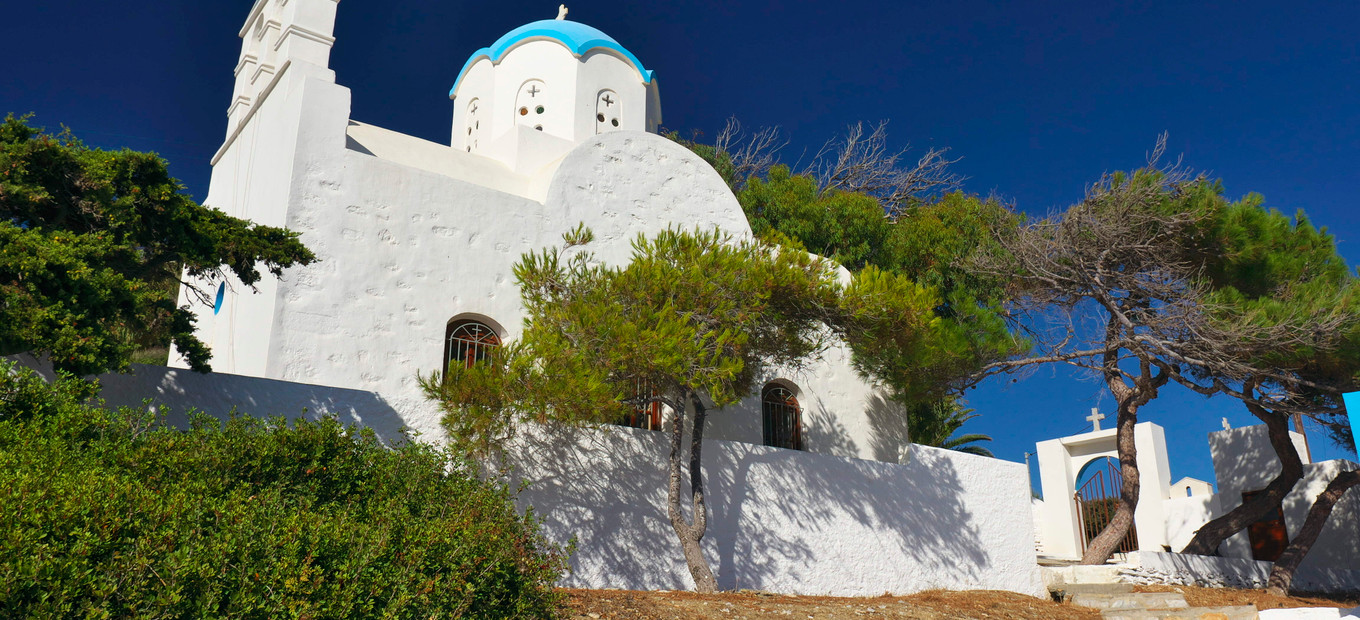 Xilokeratidi