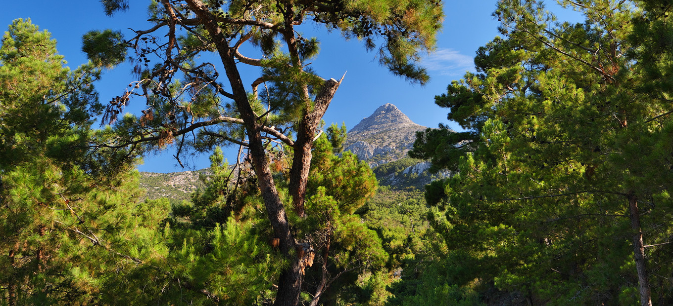 Mount Pelineon