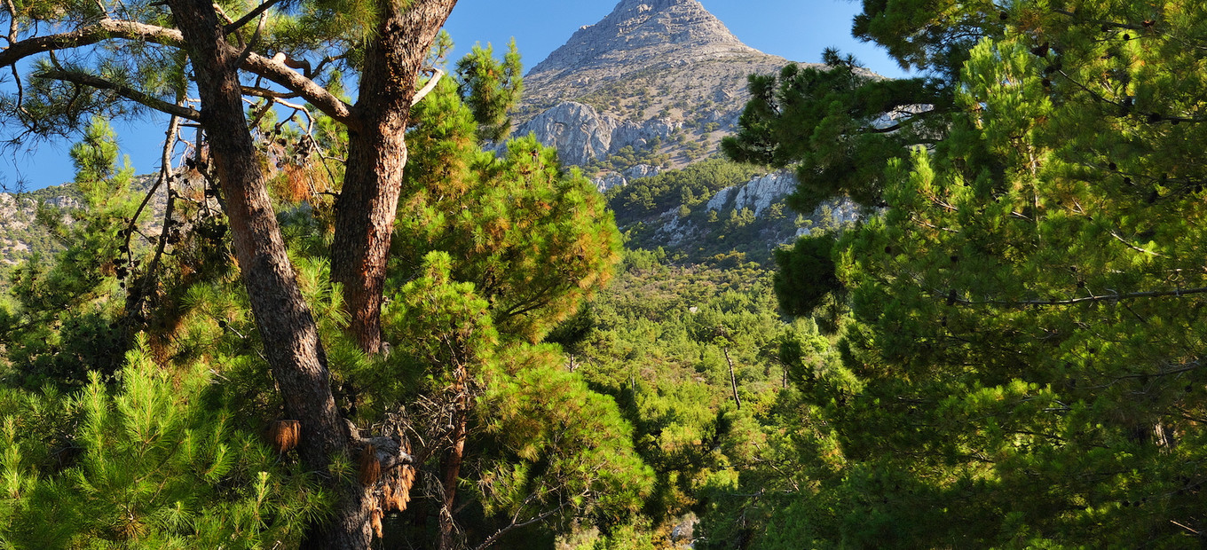 Mount Pelineon