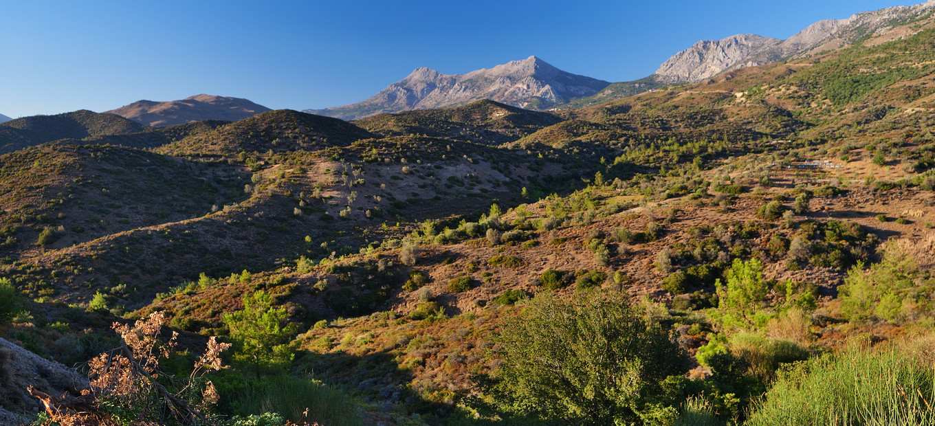 Mount Pelineon