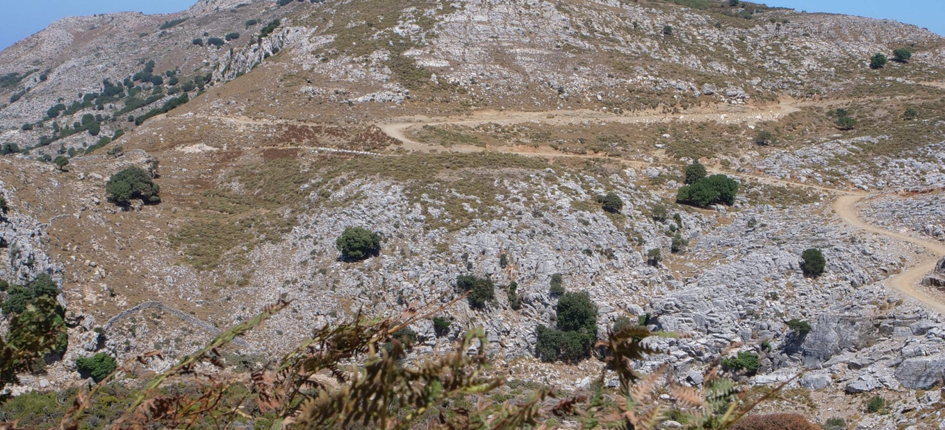 Ikaria