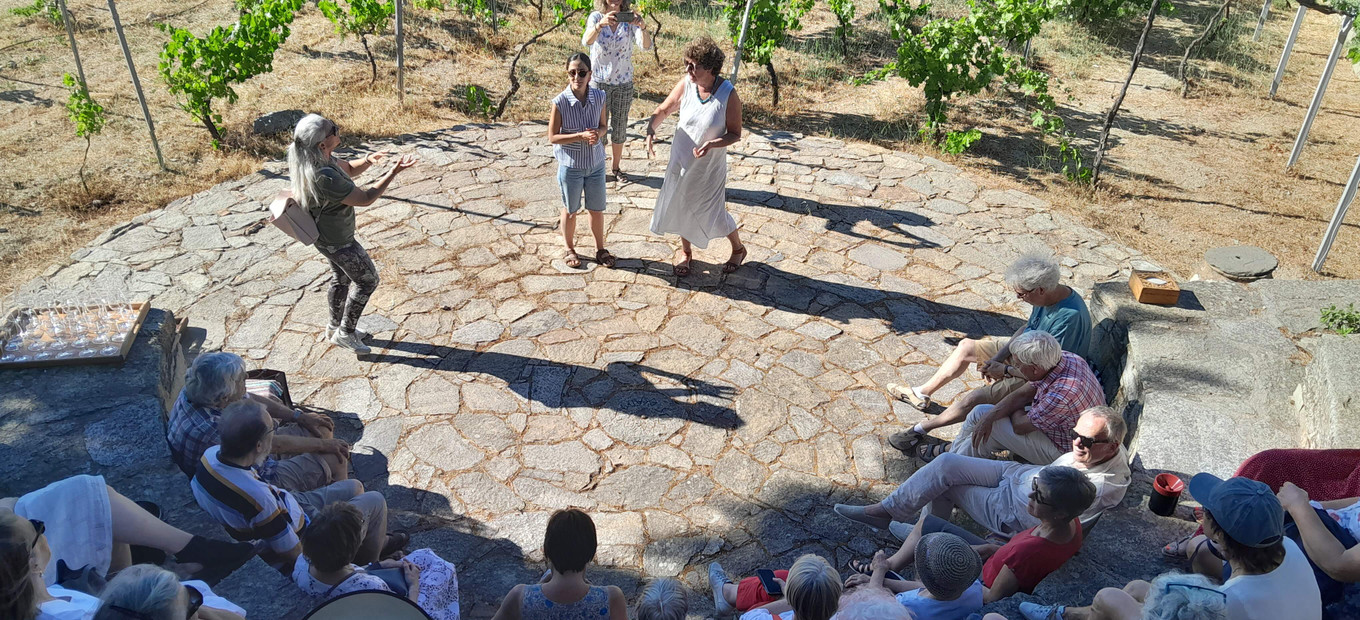 Wine tour s ochutnávkou vína