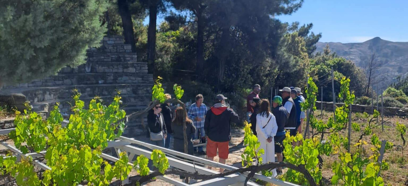 Wine tour s ochutnávkou vína