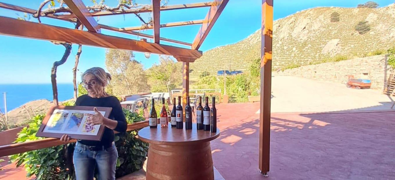 Wine tour s ochutnávkou vína
