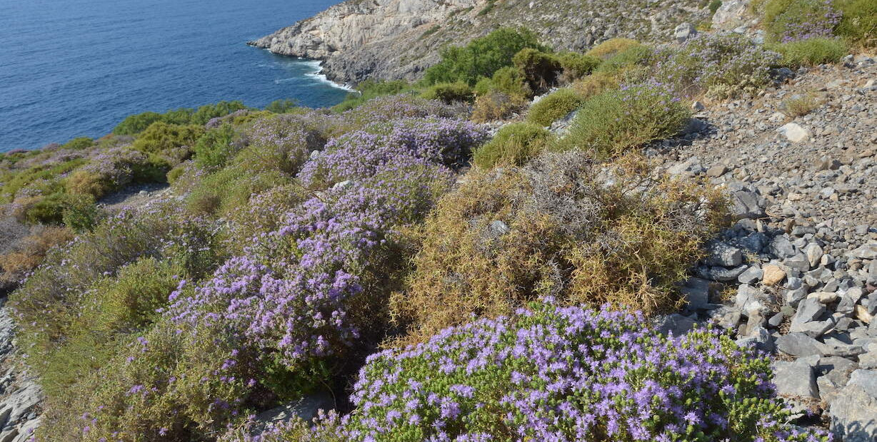 Kalymnos