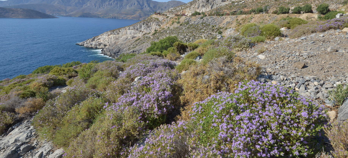 Kalymnos
