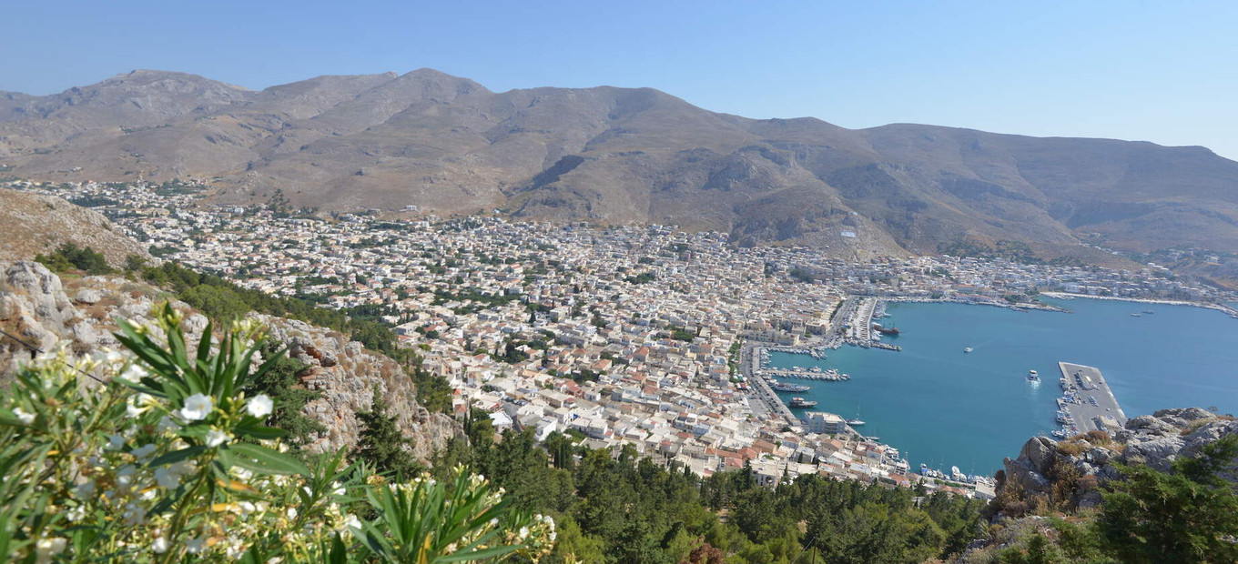 Pothia