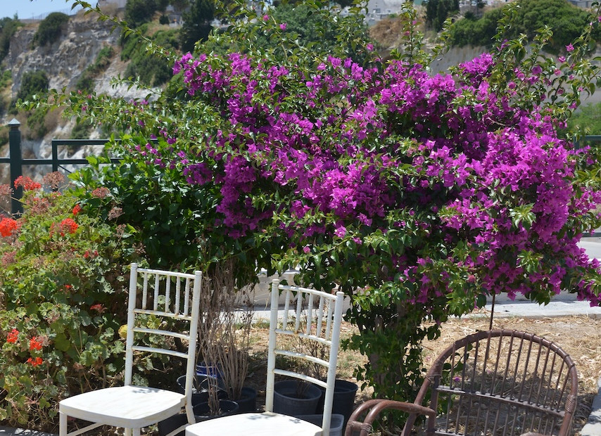 Kefalos