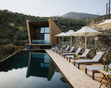 Five Olive Dream Trip