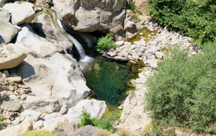 Ikaria