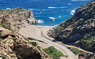 Ikaria