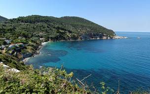 Kavouris