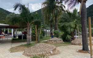 Pláž Antisamos