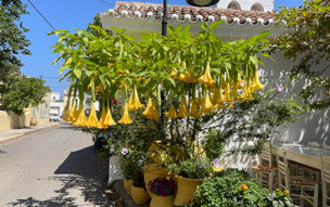 Kythira