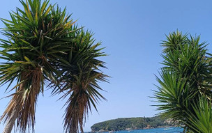 Parga