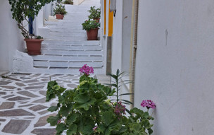 Hotel Anthemis