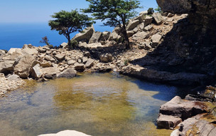 Ikaria