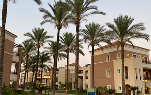 Kréta