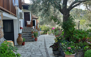 Kastri