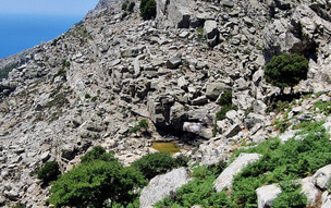 Ikaria