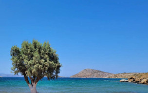 Leros