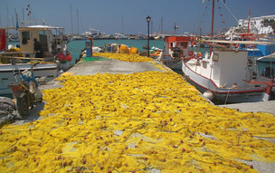 Naxos