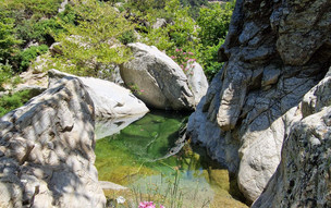 Ikaria