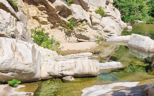 Ikaria