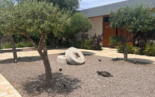 Olivar Suites