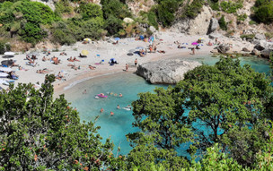 Pavlos
