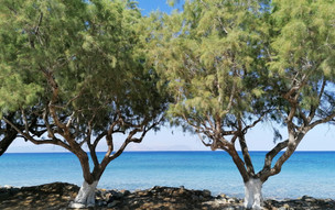 Kythira