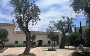 Olivar Suites