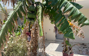 Kythira