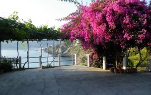 Kavouris