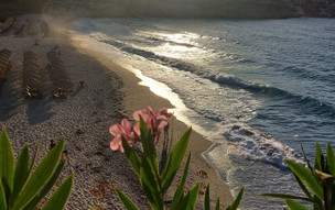 Ikaria