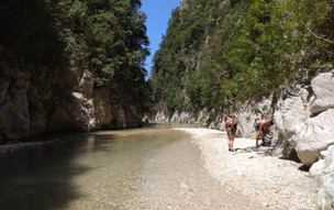 Parga